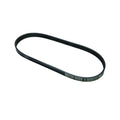 Mercury Serpantin Kayış (57-8M0232583) Mercury